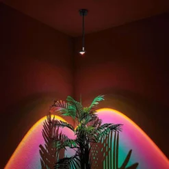 Edonita LED Plafondlamp Black - Lindby - Koop Online -Flos Shop 4251911725018 4