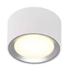 Fallon Bevestigingsspot White/Brushed Steel - Nordlux - Koop Online
