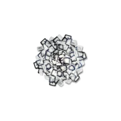 Clizia Plafondlamp/Wandlamp Mini Zwart - Slamp - Koop Online