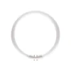 Lichtbron 22W/830 Tl5 Circulaire Buis 2Gx13 - Philips - Koop Online